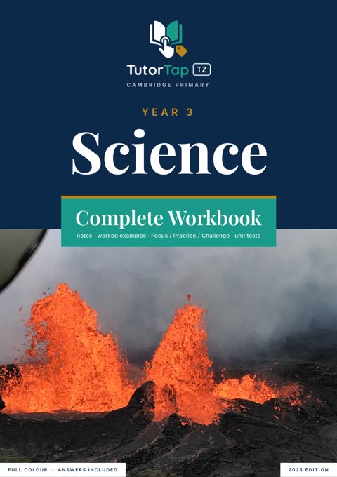 Cover of the TutorTap Year 3 complete workbook