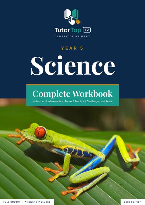 Cover of the TutorTap Year 5 complete workbook