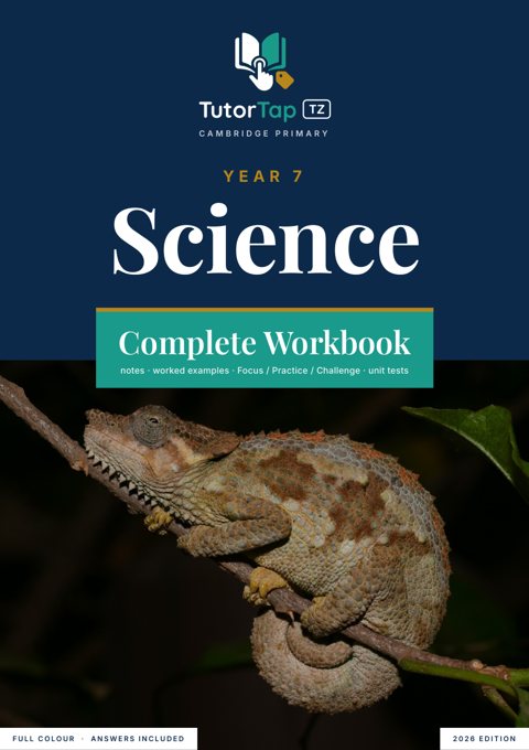Cover of the TutorTap Year 7 complete workbook